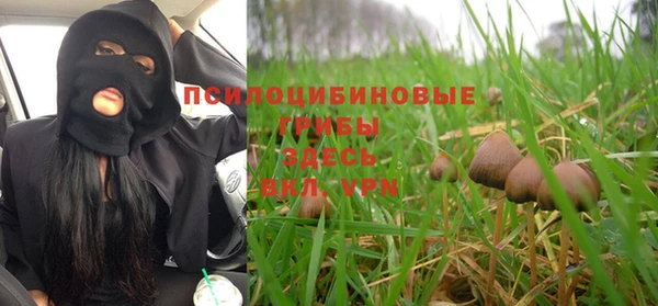 прущая мука Ельня