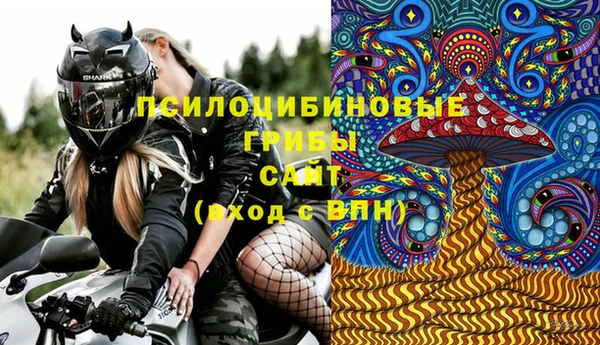 прущая мука Ельня